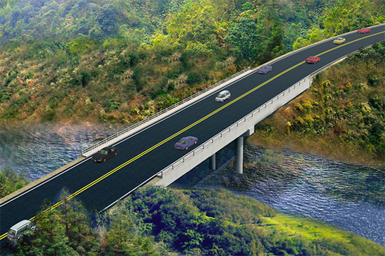 喀麦隆恩冈代雷-帕罗70km道路施工项目.jpg