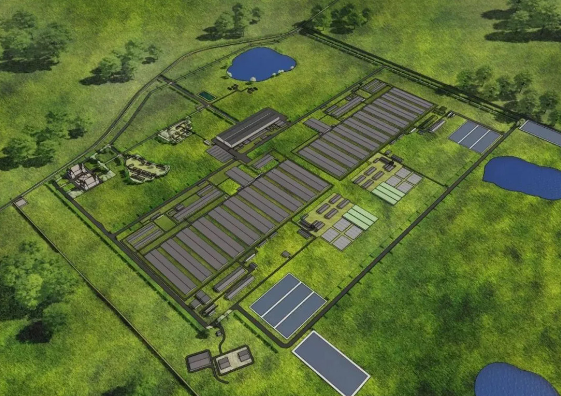 中国建筑马来西亚森美兰F&N奶牛场项目正式竣工交付1.jpg