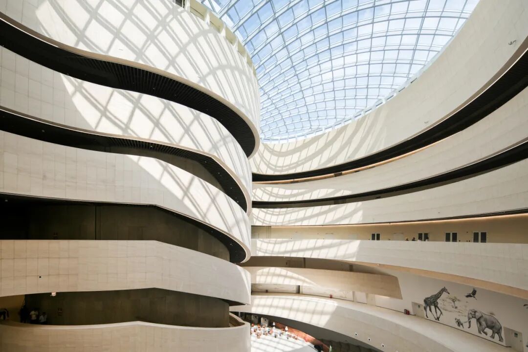 中国建筑承建的深圳自然博物馆正式开馆(6).jpg 中国建筑承建的深圳自然博物馆正式开馆(6).jpg
