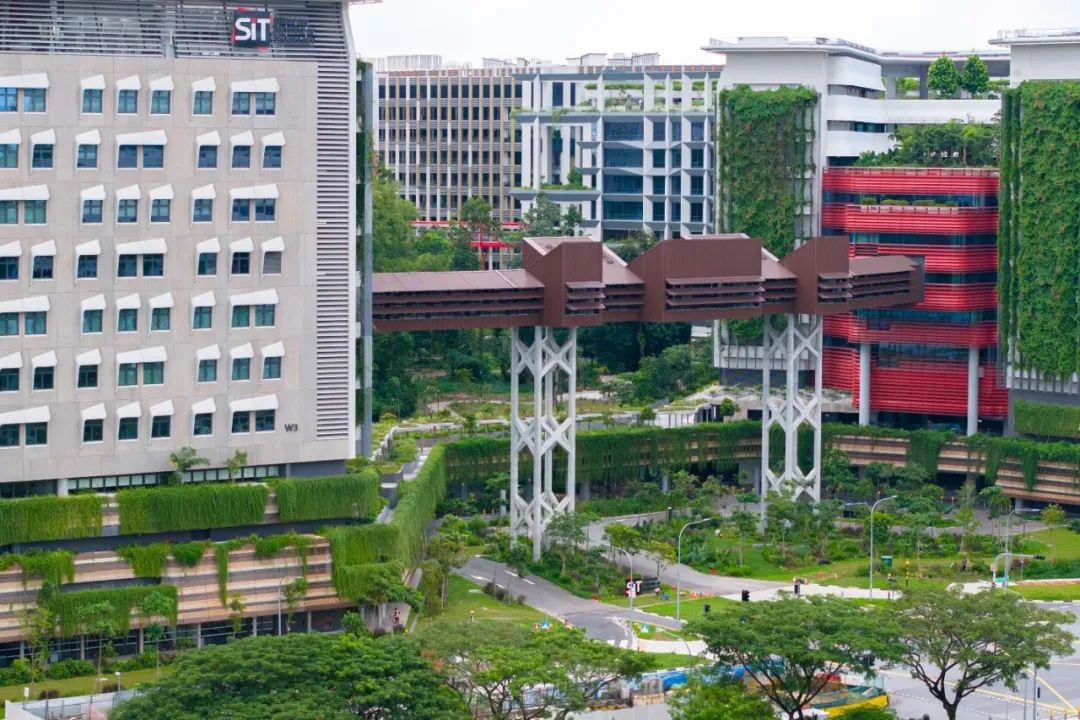 新加坡理工大学新校区顺利竣工.png