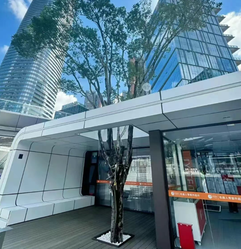 图片11.png